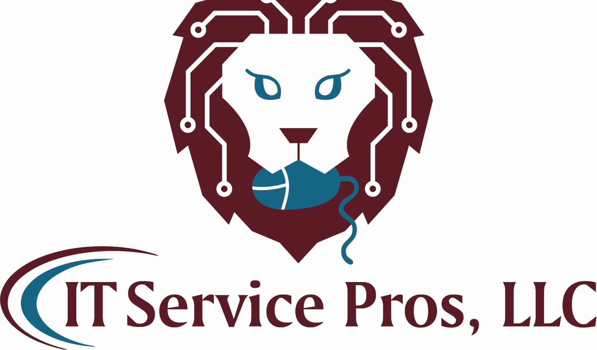 IT Service Pros